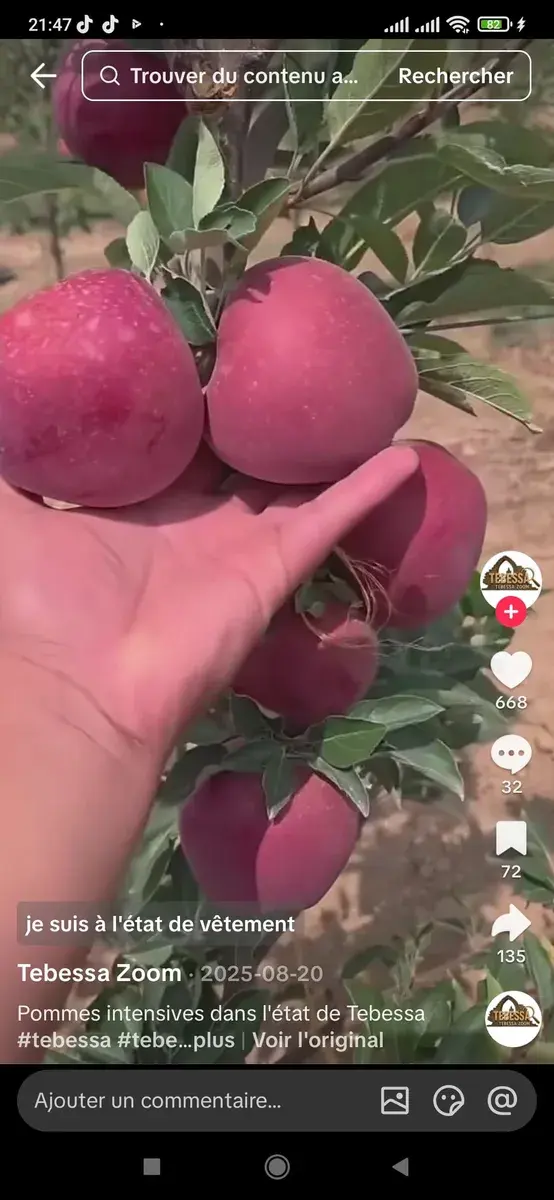 مشروع فلاحي 